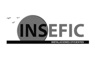 INSEFIC